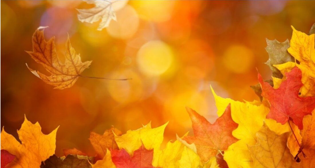 What’s in season for autumn? | Healthy Made Tasty
