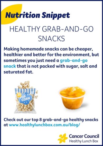 A screenshot of a nutrition snippet for healthy grab and go snacks. It explains the various reasons to make snacks at home